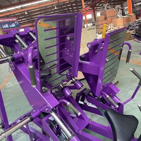 Dual Máquina de prensa de piernas (45 grados)