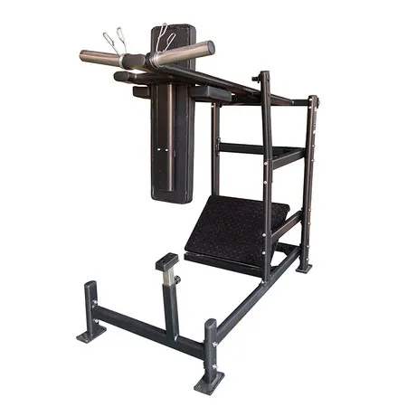 Máquina de sentadillas pendulares