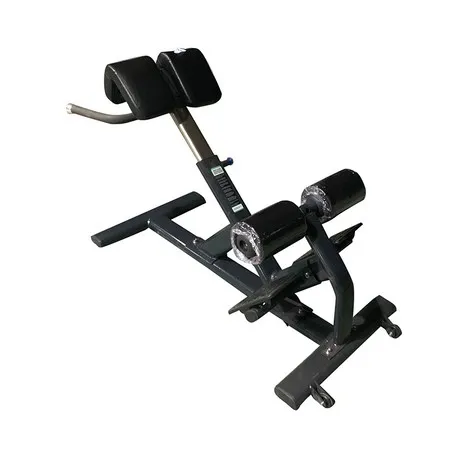 Silla romana de extensiones de espalda