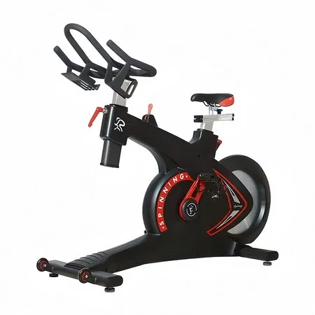 Bicicleta de spinning magnética